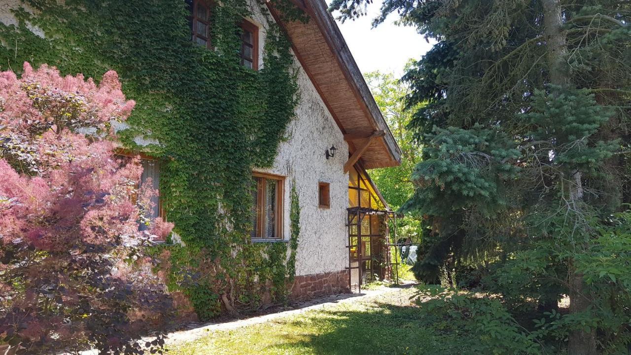 Haus Veronika Zamárdi Dış mekan fotoğraf